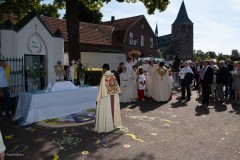 Processie-Draaksteken-Heel-6889